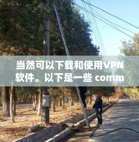 当然可以下载和使用VPN软件。以下是一些 commonly used VPN software，并提供一些步骤和注意事项