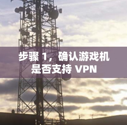 步骤 1，确认游戏机是否支持 VPN
