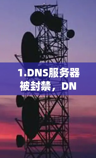 1.DNS服务器被封禁，DNS服务器被其他系统或恶意程序封禁，导致无法解析域名