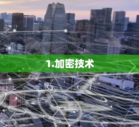1.加密技术