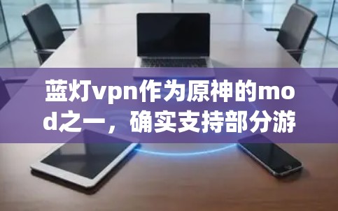 蓝灯vpn作为原神的mod之一，确实支持部分游戏的运行，包括原神本身。它提供了一个带有游戏机制的虚拟世界，可能通过设置权限运行一些游戏