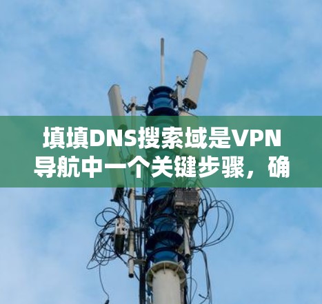 填填DNS搜索域是VPN导航中一个关键步骤,确保每个IP地址对应正确的DNS服务器和端口。以下是一个详细的步骤指南