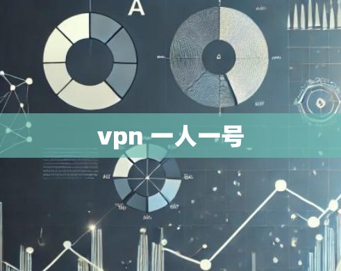 vpn 一人一号