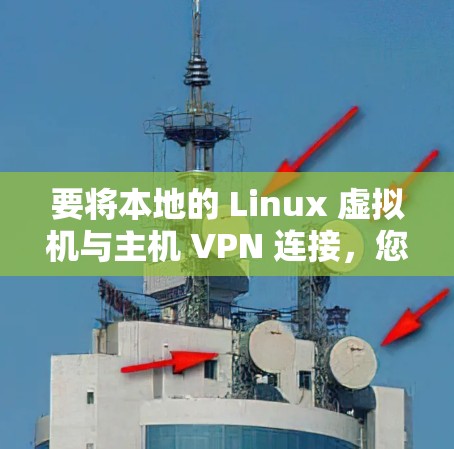 要将本地的 Linux 虚拟机与主机 VPN 连接，您可以按照以下步骤操作