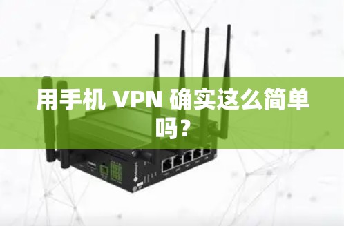 用手机 VPN 确实这么简单吗?
