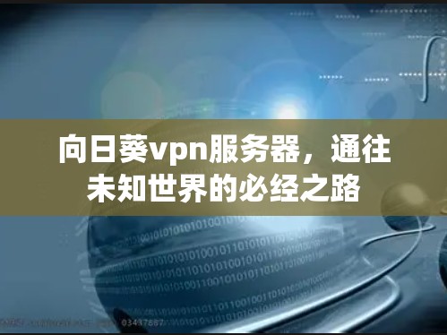 向日葵vpn服务器,通往未知世界的必经之路