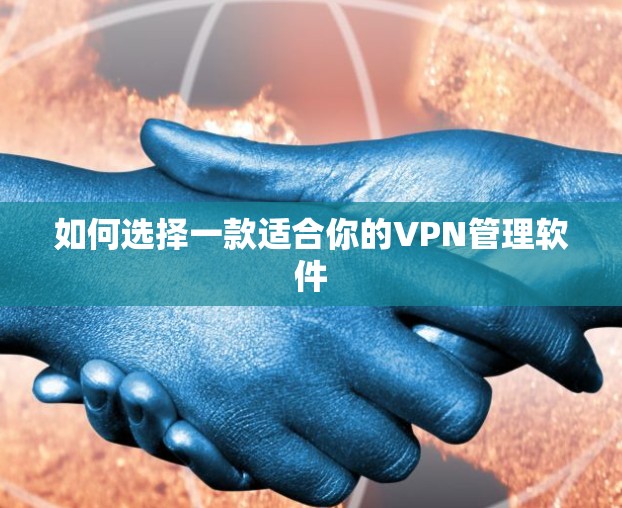 如何选择一款适合你的VPN管理软件