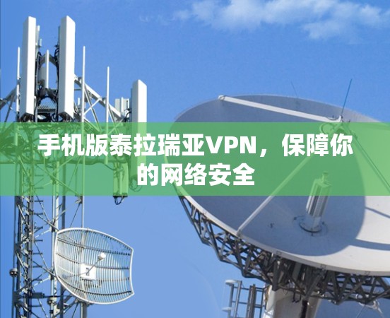 手机版泰拉瑞亚VPN，保障你的网络安全
