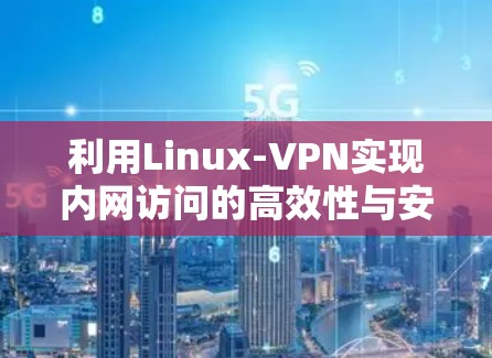 利用Linux-VPN实现内网访问的高效性与安全性