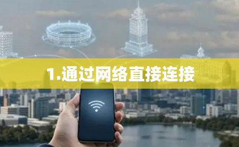 1.通过网络直接连接