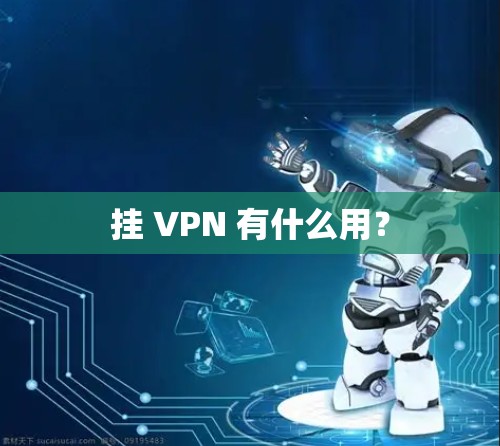 挂 VPN 有什么用?