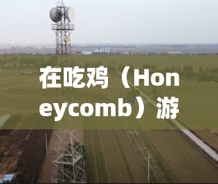 在吃鸡(Honeycomb)游戏中,VPN并不是一个直接的功能或选项。该游戏是一个策略性吃鸡游戏,玩家需要在不同的路线之间移动,控制鸡群。游戏本身并没有内置VPN功能,因此无法直接使用VPN连接游戏