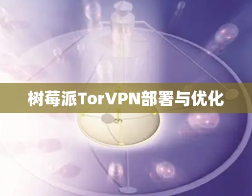 树莓派TorVPN部署与优化