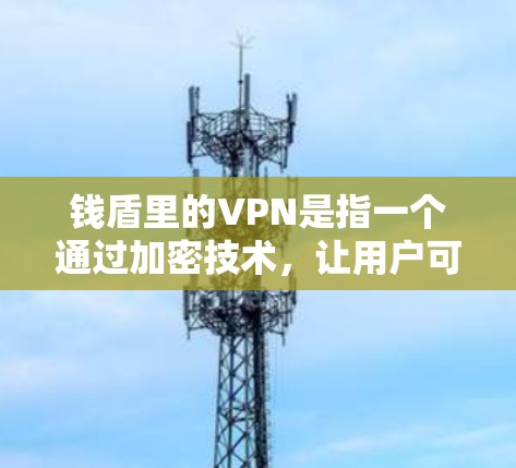钱盾里的VPN是指一个通过加密技术，让用户可以轻松访问国际互联网的网络服务。以下是关于该服务的详细分析