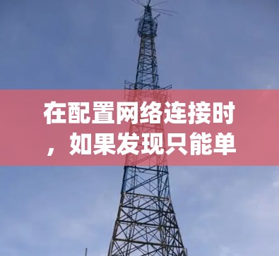 在配置网络连接时，如果发现只能单ping，而预期能够连接到多个IP地址，可能需要以下步骤进行检查和配置
