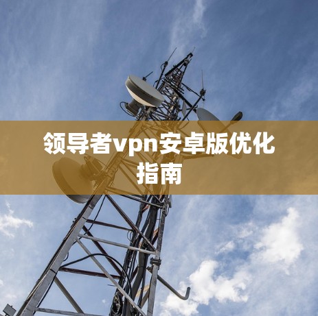领导者vpn安卓版优化指南
