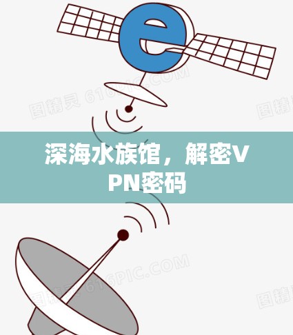 深海水族馆,解密VPN密码