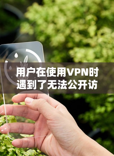 用户在使用VPN时遇到了无法公开访问网络服务(OB)的问题,可能的原因有很多,包括以下几个方面