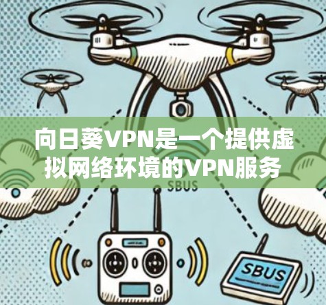向日葵VPN是一个提供虚拟网络环境的VPN服务，旨在让用户在虚拟网络中进行网络访问和模拟虚拟机。以下是对向日葵VPN的详细分析