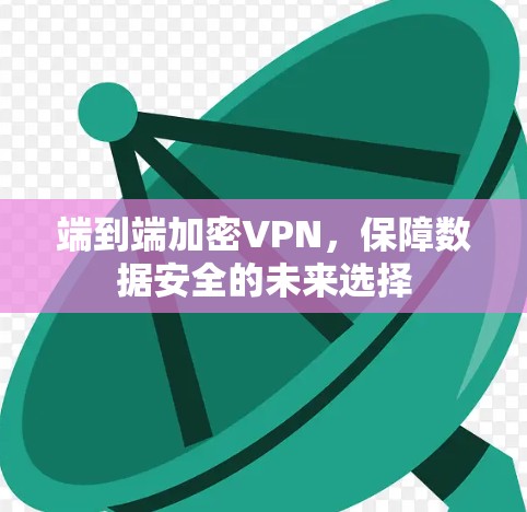 端到端加密VPN，保障数据安全的未来选择