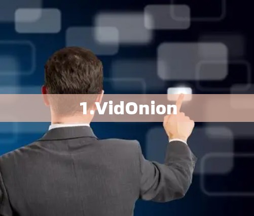 1.VidOnion