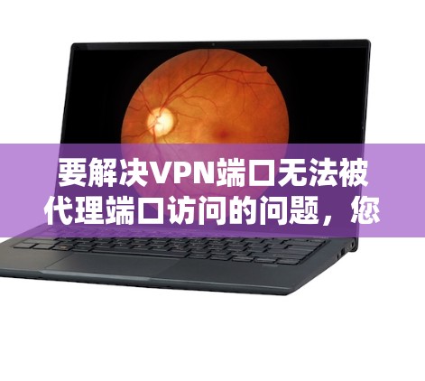 要解决VPN端口无法被代理端口访问的问题，您可以按照以下步骤操作