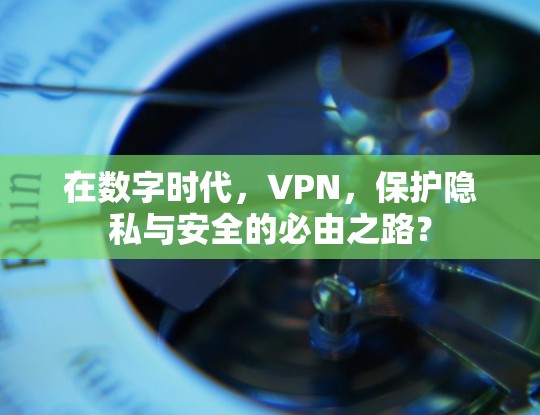 在数字时代,VPN,保护隐私与安全的必由之路?