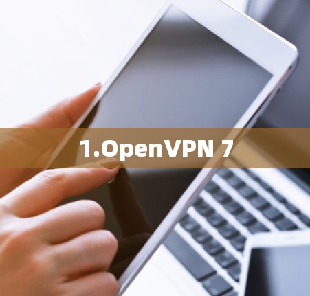 1.OpenVPN 7