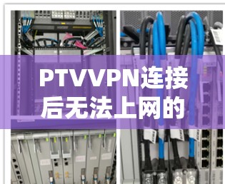 PTVVPN连接后无法上网的问题，通常涉及多个因素。以下是详细的解决步骤