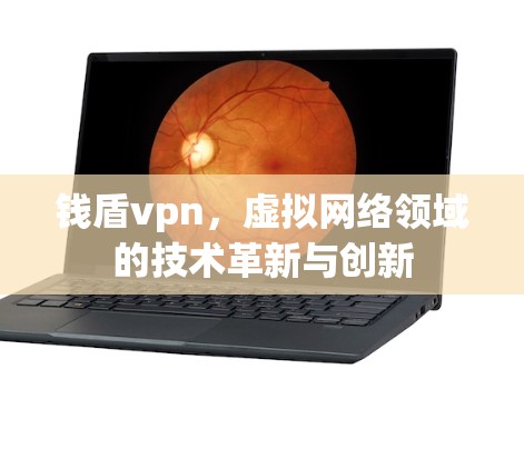 钱盾vpn,虚拟网络领域的技术革新与创新 钱盾vpn,虚拟网络领域的技术革新与创新