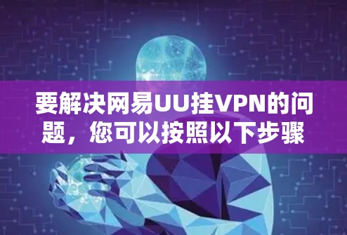要解决网易UU挂VPN的问题，您可以按照以下步骤进行
