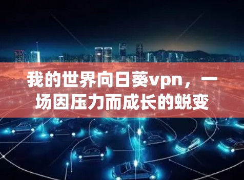 我的世界向日葵vpn，一场因压力而成长的蜕变
