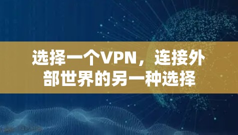 选择一个VPN，连接外部世界的另一种选择