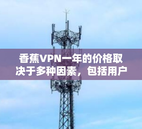 香蕉VPN一年的价格取决于多种因素，包括用户的使用场景、设备类型、服务需求、维护需求以及香蕉VPN的具体定价策略。以下是一些关键点