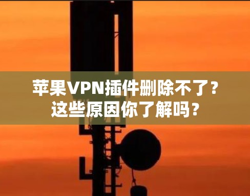苹果VPN插件删除不了？这些原因你了解吗？