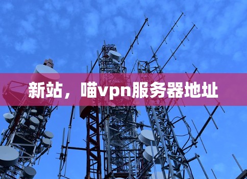 新站，喵vpn服务器地址