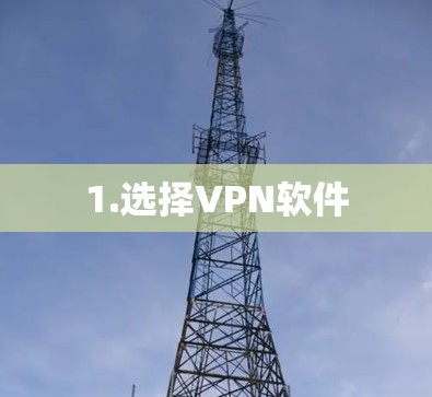 1.选择VPN软件