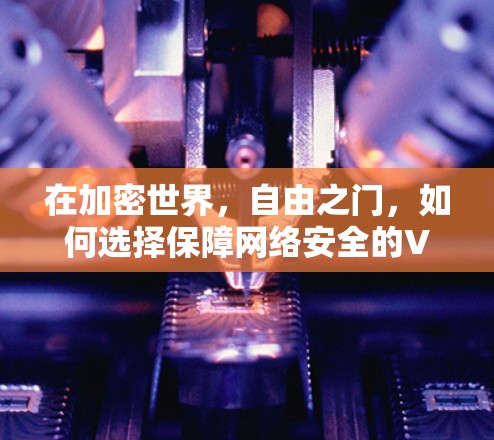 在加密世界，自由之门，如何选择保障网络安全的VPN