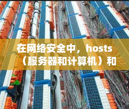 在网络安全中，hosts（服务器和计算机）和vpn（VPN）的优先级可以总结如下