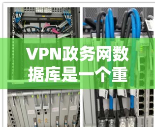 VPN政务网数据库是一个重要的网络防护工具,主要服务于国家安全和国际间谍活动。以下是关于该数据库的详细分析