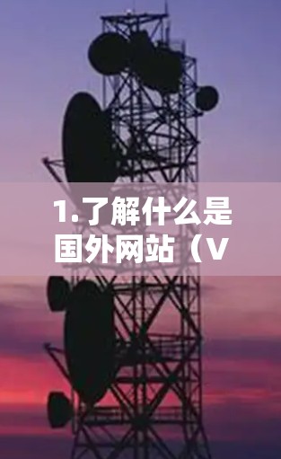 1.了解什么是国外网站(VPN)