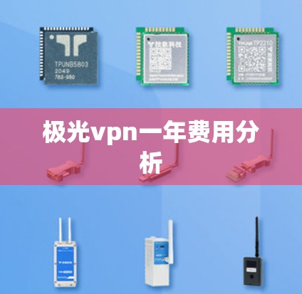 极光vpn一年费用分析