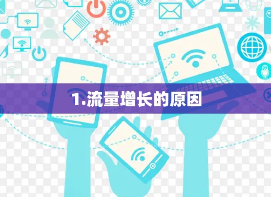 1.流量增长的原因