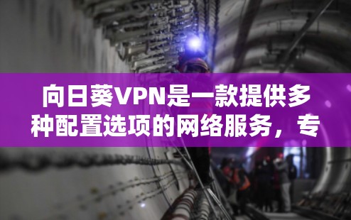 向日葵VPN是一款提供多种配置选项的网络服务，专为用户设计来访问外部互联网，满足不同需求。以下是向日葵VPN的主要功能及其配置