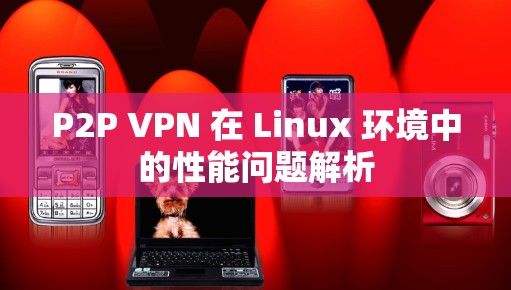 P2P VPN 在 Linux 环境中的性能问题解析