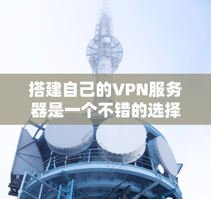 搭建自己的VPN服务器是一个不错的选择,特别是对于那些对网络有深入了解或者需要在特定环境中进行网络连接的人。以下是一些步骤和建议,帮助你搭建自己的VPN服务器