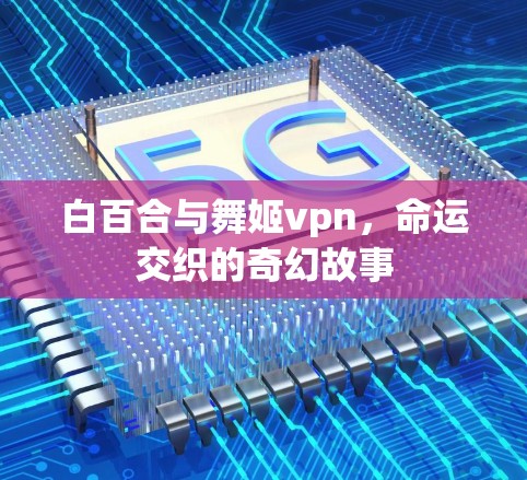 白百合与舞姬vpn,命运交织的奇幻故事