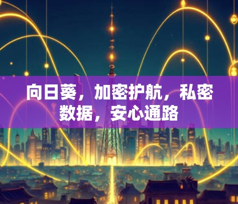 向日葵，加密护航，私密数据，安心通路