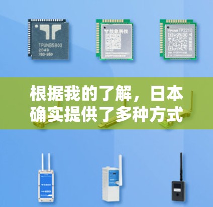 根据我的了解，日本确实提供了多种方式来使用国际VPN服务。以下是一些关键信息
