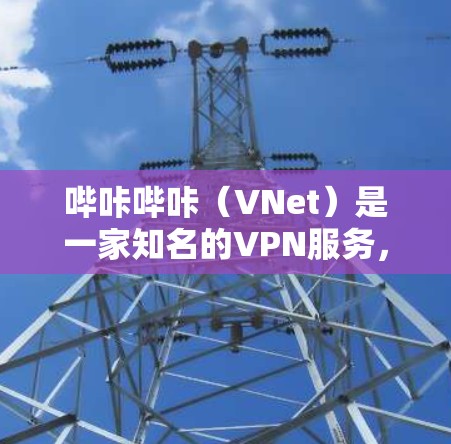 哔咔哔咔（VNet）是一家知名的VPN服务，提供多种VPN解决方案。如果你有VPN需求，哔咔哔咔是不错的选择，但需要注意以下几点
